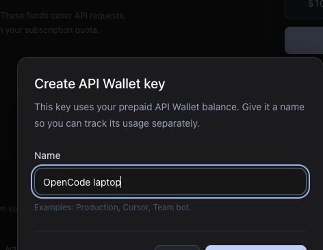 Create API Wallet key dialog with the example name OpenCode laptop and a Create Wallet key button.